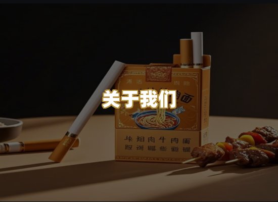 关于我们